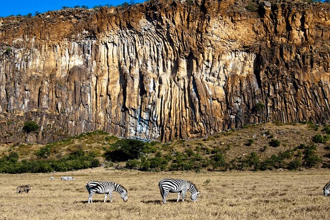 Full Day Private Tour to Hells Gate National Park From Nairobi. - Visitor Activities