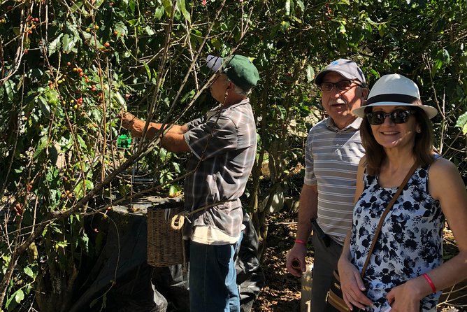 Full-Day Private Tour to San Sebastian Del Oeste With Guide - Traveler Reviews