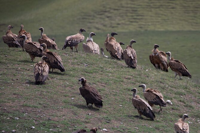 Full-Day Private Wilderness Tour in Vashlovani National Park - Cancellation Policy