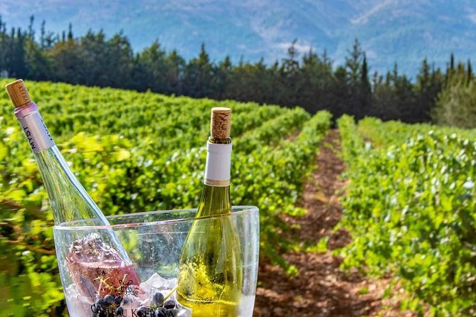 Full-Day Private Wine Tasting Tour - Customer Reviews
