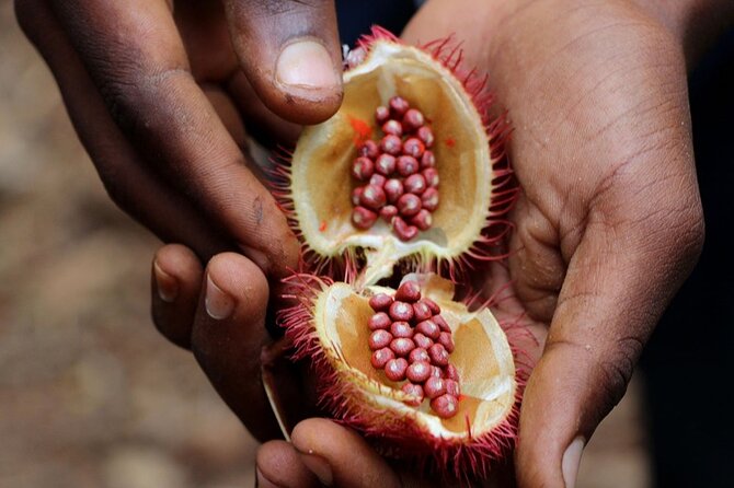 Full Day Private Zanzibar Triple Delight Tour - Booking Process