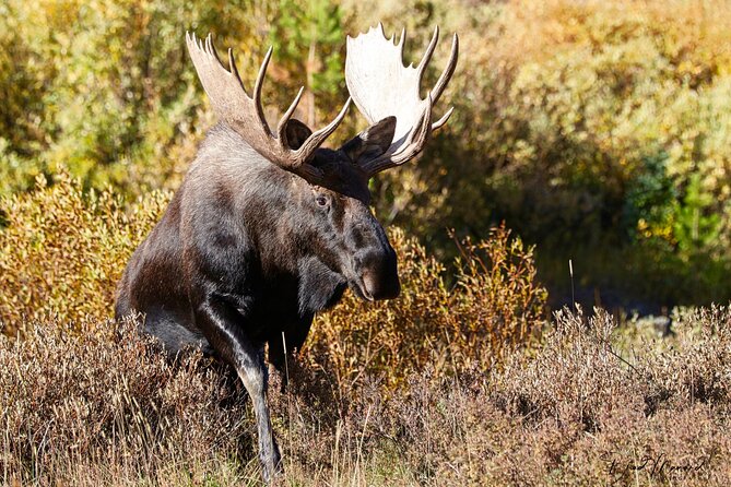 Full-Day Rocky Mountain National Park Over The Top Tour - RMNPhotographer - Exploring the Diverse Landscape