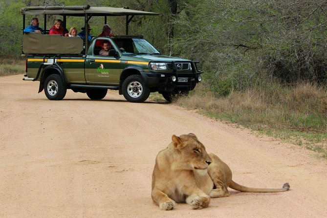 Full Day Safari - Kruger National Park - Memorable Moments and Experiences