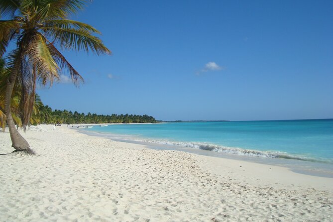 Full-Day Saona Island Tours All Inclusive - Pricing and Booking