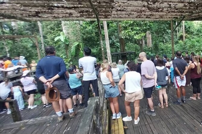 Full-Day Sepilok Orangutan and Sandakan City Trail From Kota Kinabalu - Dining Experience