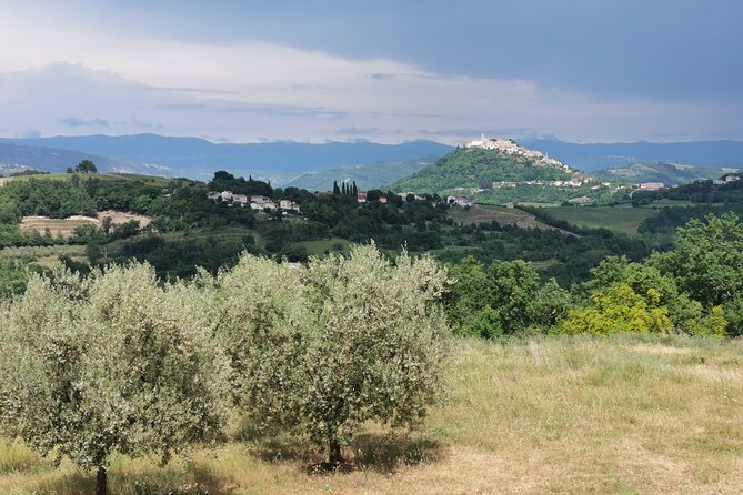 Full-Day Shore Excursion to Istria From Opatija or Rijeka - Scaling the Motovun City Walls