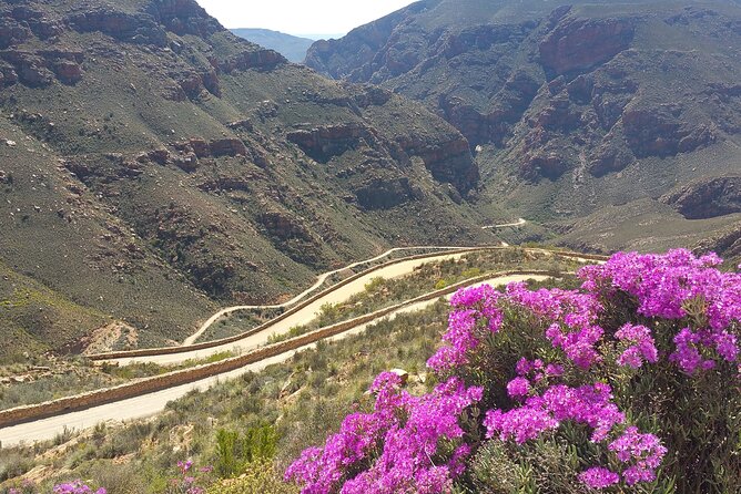 Full-Day Swartberg Mountain PRIVATE Tour (Including Lunch and Transfers) - Conservation Efforts