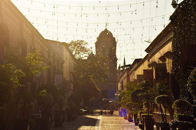Full-Day Tequila Tour From Guadalajara - Meeting Point and Pickup