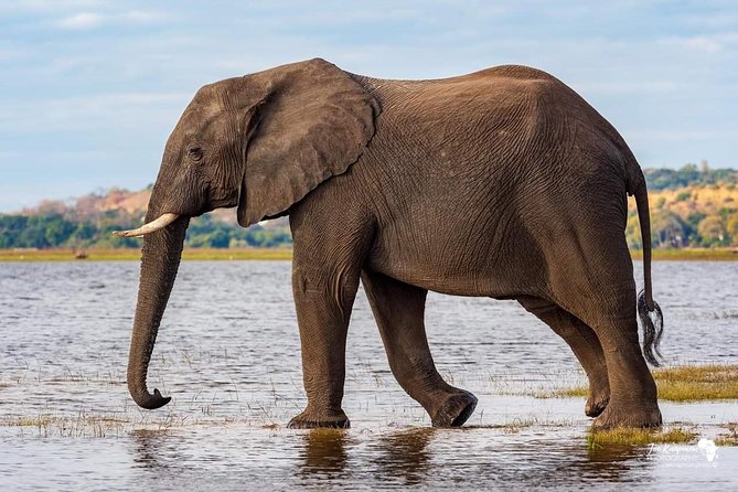 Full Day To Arusha National Park - Health and Accessibility Information