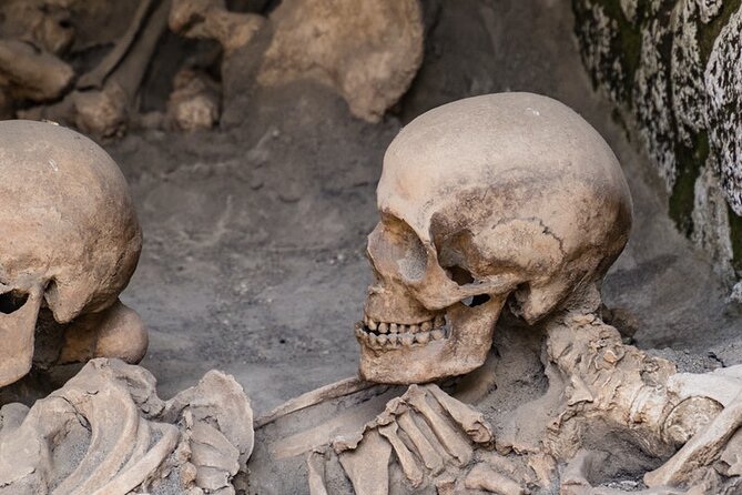 Full Day Tour in Pompeii, Herculaneum and Vesuvius - Whats Included