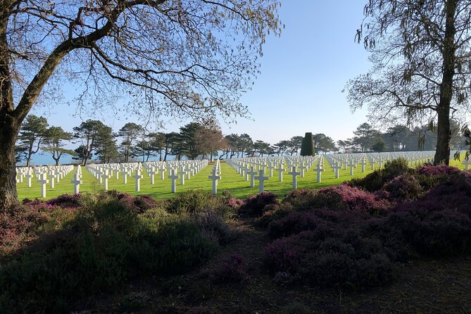 Full Day Tour of Omaha and Utah Beach With a Professional Guide - Highlights of the Tour