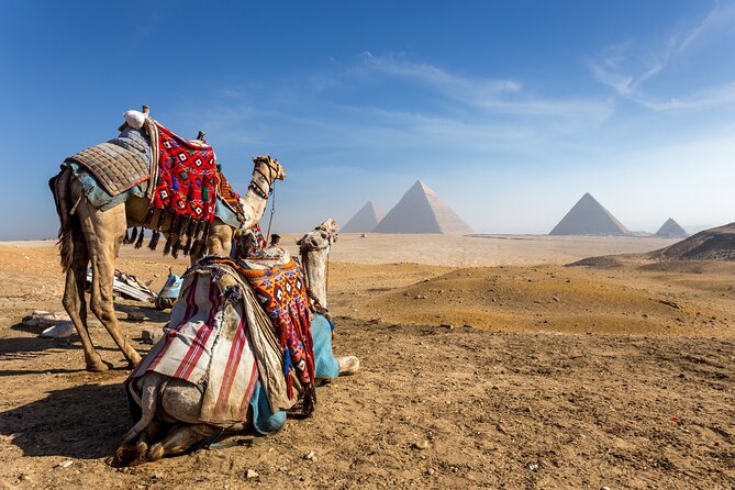 Full Day Tour of the Pyramids & Sphinx With Tickets From Hurghada - Customer Reviews