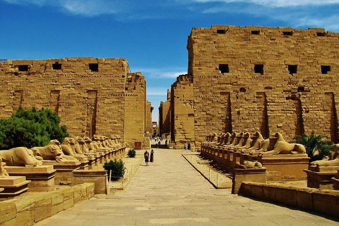 Full Day Tour to Luxor From Airport - Customer Reviews
