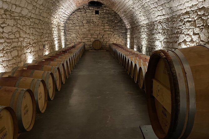 Full Day Tour to Mimi Castel With Wine Tasting - Wine Tasting Experience