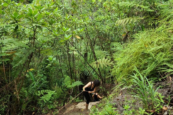 Full-Day Vara Blanca Hike Tour - Customer Reviews and Feedback
