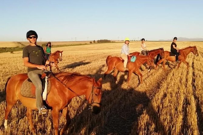 Full Day Wine Tour With Lunch And Tastings - Lunch Experience