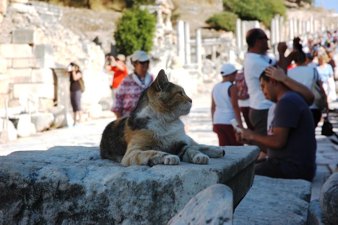 Full Ephesus With All Highlights Tour -SKIP THE LINE TICKETS - A Scenic Lunch Experience