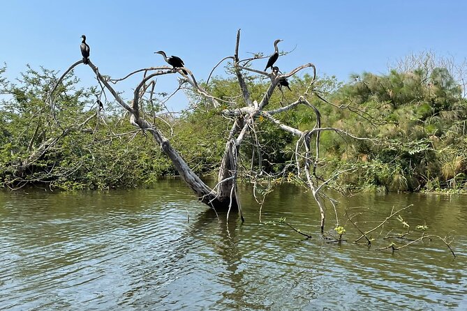 Full-Private Akagera Boat Cruise and Game Drive - Traveler Reviews and Recommendations