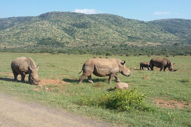 Fully Inclusive Pilanesbserg Safari From Johannesburg - Recommended Packing Items