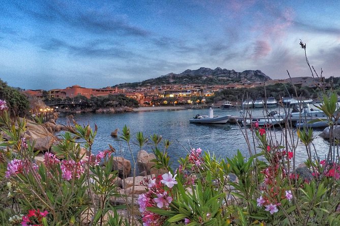 Gallura, Vermentino & Costa Smeralda - Immersive Winery Experience