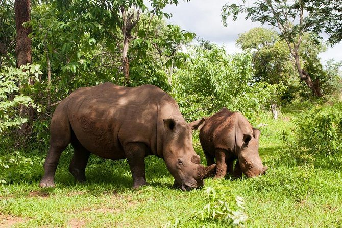 Game Drive in Mosi-Oa-Tunya National Park - Exploring Mosi-Oa-Tunya National Park