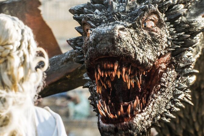 Game of Thrones Private Tour From Portrush Area - Customer Experience