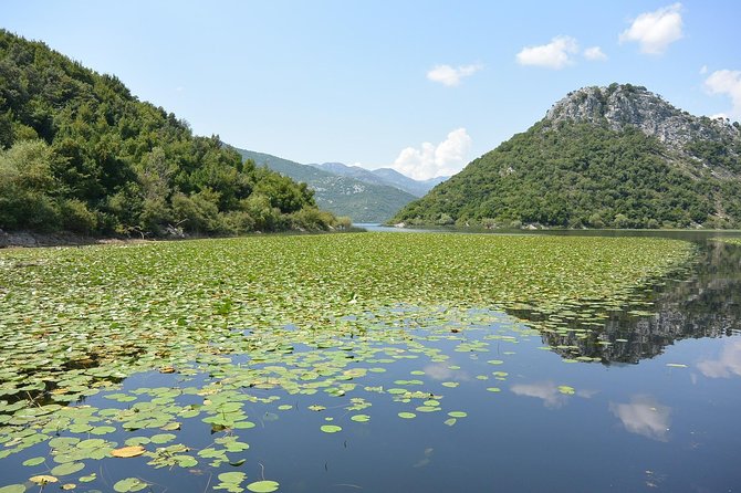 Gastronomy and Sightseeing in Montenegro - Lake Skadar & Cetinje Private Tour - Accessibility Information