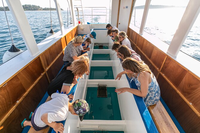 Glass Boat Tour Fažana and Panorama National Park Brijuni - Group Size