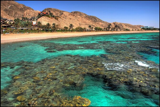 Glass Bottom Boat Cruise in Eilat - Customer Feedback and Ratings
