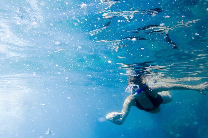 Glass-Bottom Boat Ride and Snorkel Tour in Cabo San Lucas - Dining and Refreshments