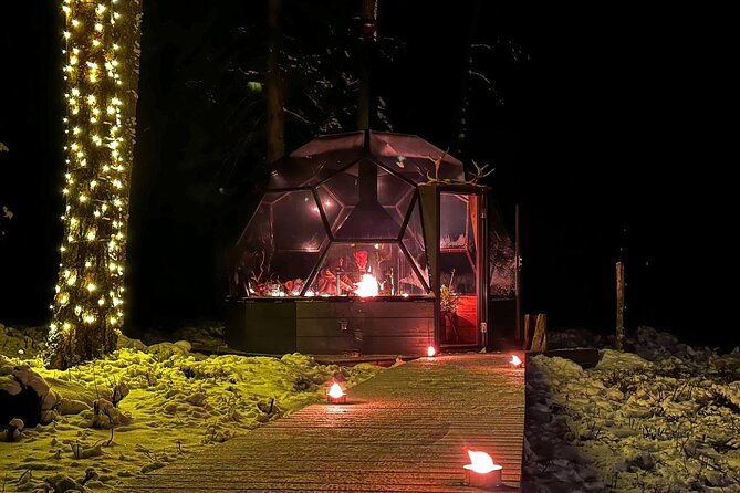 Glass Igloo Campfire Dinner Under Northern Lights - Exclusive Private Tour