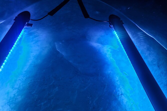 Glowing Kayak Tour Port OConnor - Bar Room Bay - Questions About Your Stay