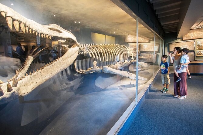 Go City: Boston Explorer Pass - Choose 2, 3, 4 or 5 Attractions - Child Pass Options
