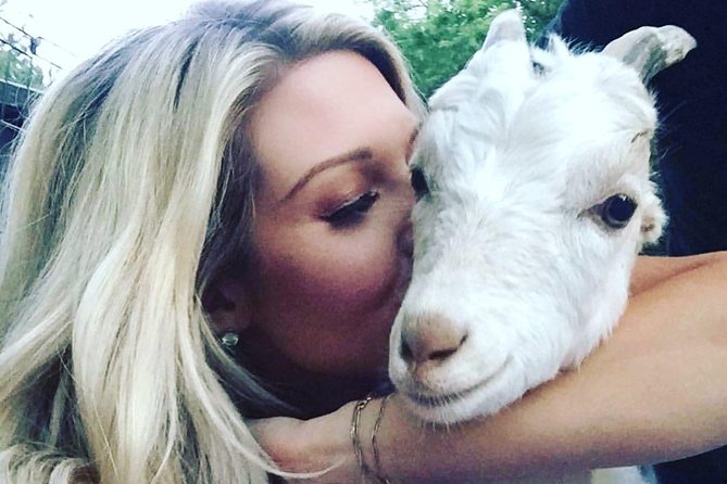 Goat Yoga and Wine Tasting - Exploring Niagara Falls and Beyond