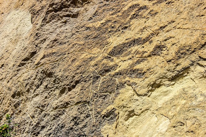 Gobustan and Mud Volcanoe GROUP TOUR - Booking Information