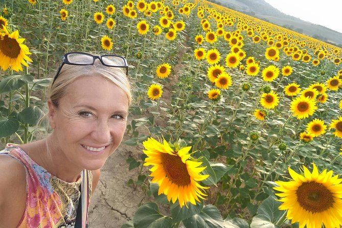 Grand Tour of Pienza, Montalcino, Montepulciano + Wine and Cheese Tasting - Meeting and Booking Information