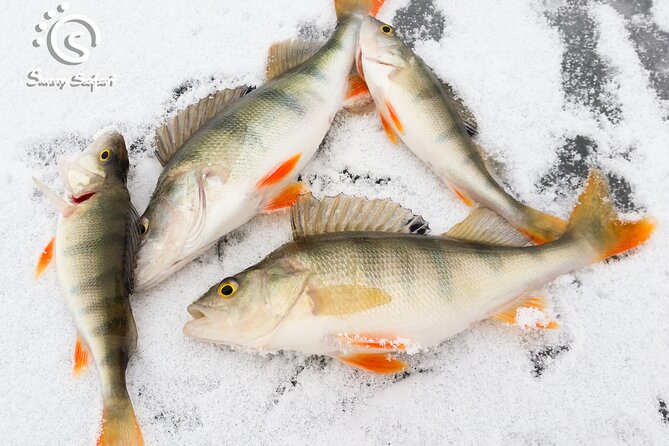 Great Ice Fishing Experience in Lapland - Reasons to Try Ice Fishing