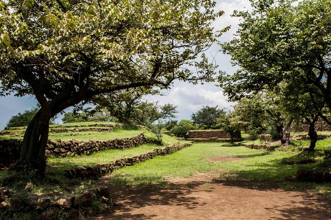 Guachimontones Archaeological Tour - Mesoamerican History of Jalisco