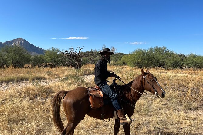 Guided 2 Hour Horseback Ride Catalina State Park Coronado Forest - Customer Reviews and Feedback