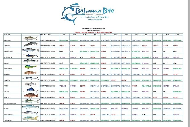 Guided 8 HR Full Day Fishing / Snorkel Private Charter Trip 40 Mega Bite - Fishing and Snorkeling Highlights