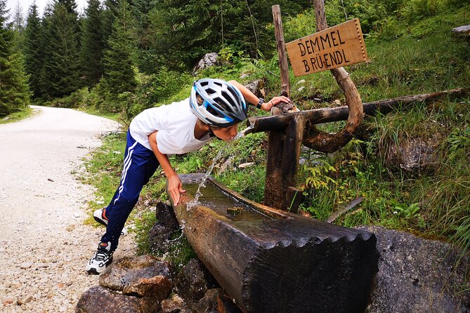 Guided E-Bike Tour of the Alpine Pastures in the Salzkammergut - Taking in Alpine Beauty
