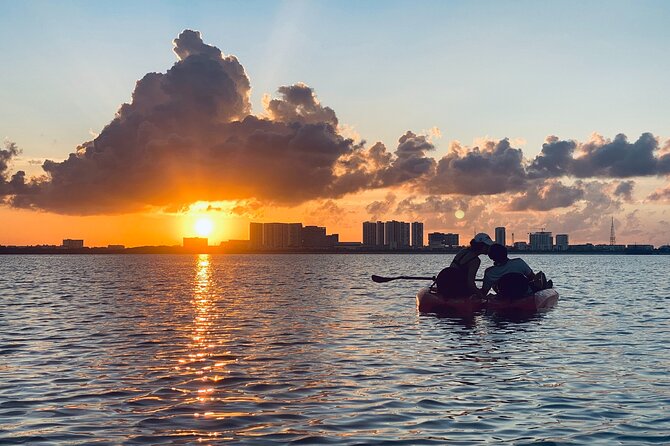 Guided Kayak Experience in Cancun - Wildlife Sightings and Scenery