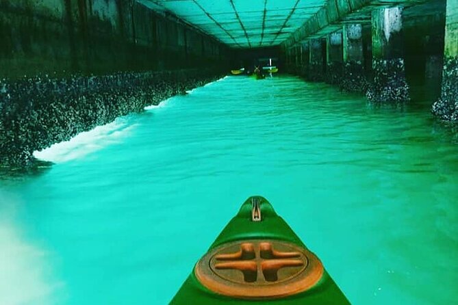 Guided Kayaking in Hout Bay - Physical Requirements