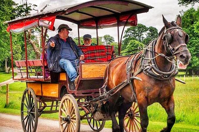 Guided Killarney National Park Tour - Highlights of the Guided Tour