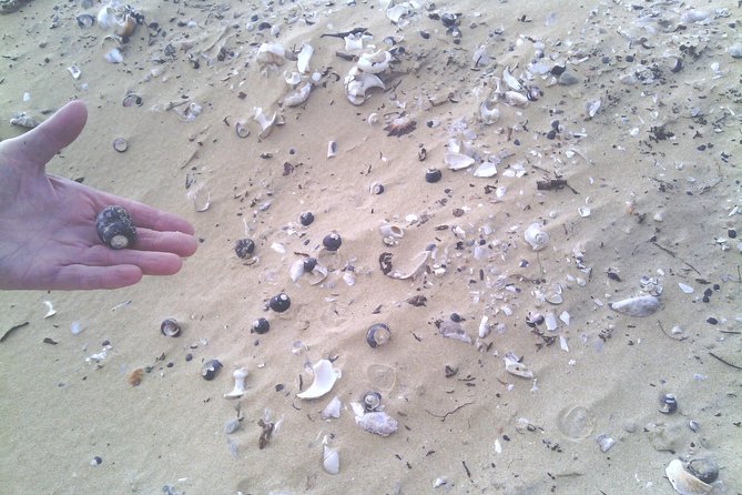 Guided Marine Walk: - Sardinia Bay (Marine Protected Area) - 3 Hours - Tidal Pool Marine Life Observation