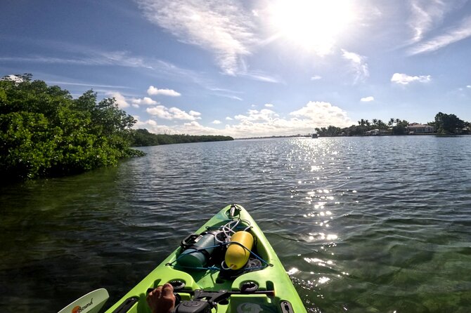 Guided Pedal Kayaking Tour - Participant Reviews
