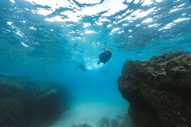 Guided Snorkeling Activity in Papagayo Beach Lanzarote - What to Bring