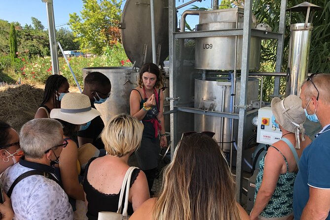 Guided Tour of Lavender Distillery Between Provence & Camargue - Tour Highlights