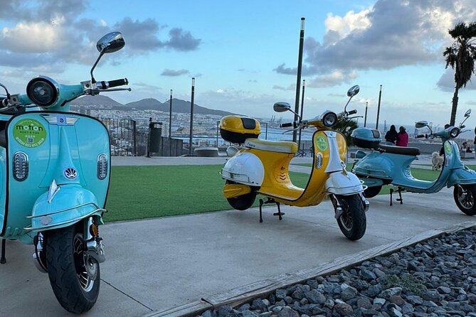 Guided Tour With Electric Moped - Reviews