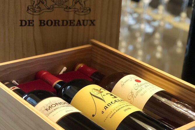 Guided Vineyard Tour With Wine Tasting in Saint-Émilion - Local Guide Expertise